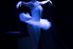 CISNE NEGRO - CUARTA PARED TEATRO UNIVERSITARIO 2019