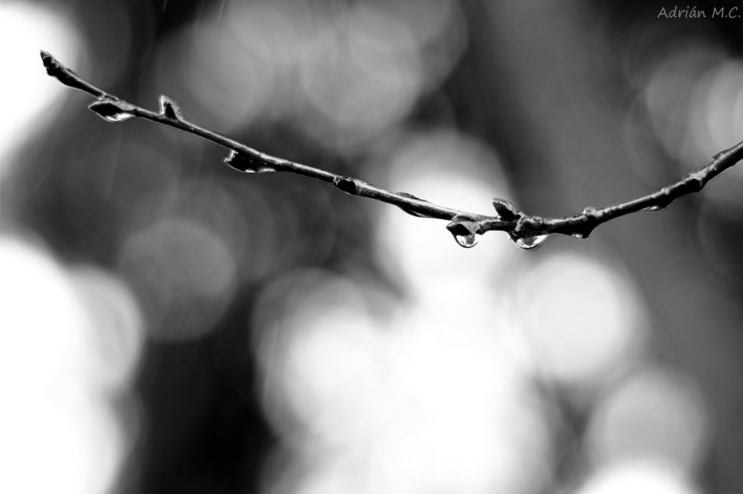 DSC04743_tonemappedc2_resize