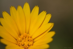 DSC00065b2_resize DSC00065b2_resize