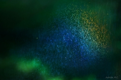 DSC00096b2_resize_resize DSC00096b2_resize_resize