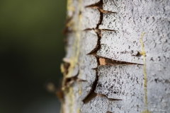 DSC00163b2_resize DSC00163b2_resize