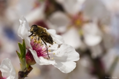 DSC00214b2_resize DSC00214b2_resize