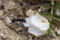 DSC00255b2_resize DSC00255b2_resize