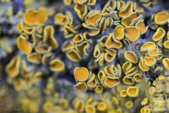 DSC00326b2_resize DSC00326b2_resize