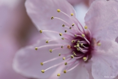 DSC00331b2_resize DSC00331b2_resize