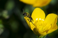 DSC00336b2_resize DSC00336b2_resize