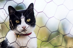 DSC00376b2_resize DSC00376b2_resize