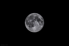 DSC01401d2_resize DSC01401d2_resize