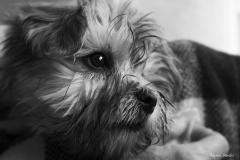 DSC01429b2_resize DSC01429b2_resize