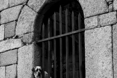 DSC01569b_resize DSC01569b_resize