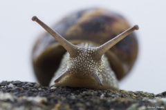 DSC01741b2_resize DSC01741b2_resize