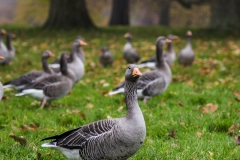 DSC01795d2_resize DSC01795d2_resize