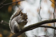 DSC01889b2_resize_resize DSC01889b2_resize_resize