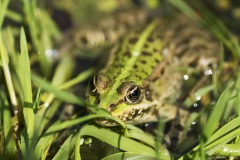 DSC01940b2_resize DSC01940b2_resize