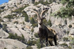 DSC03094b2_resize_resize DSC03094b2_resize_resize