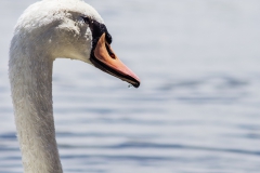 DSC04619b2_resize DSC04619b2_resize