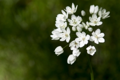 DSC04713c_resize DSC04713c_resize