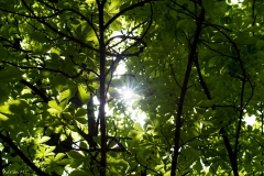 DSC04724b2_resize DSC04724b2_resize