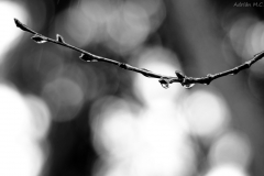 DSC04743_tonemappedc2_resize DSC04743_tonemappedc2_resize