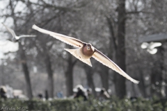 DSC04877b2_resize DSC04877b2_resize