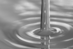 DSC06165b2_resize DSC06165b2_resize