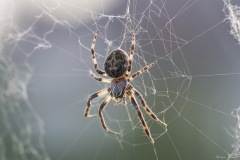 DSC09410b2_resize DSC09410b2_resize