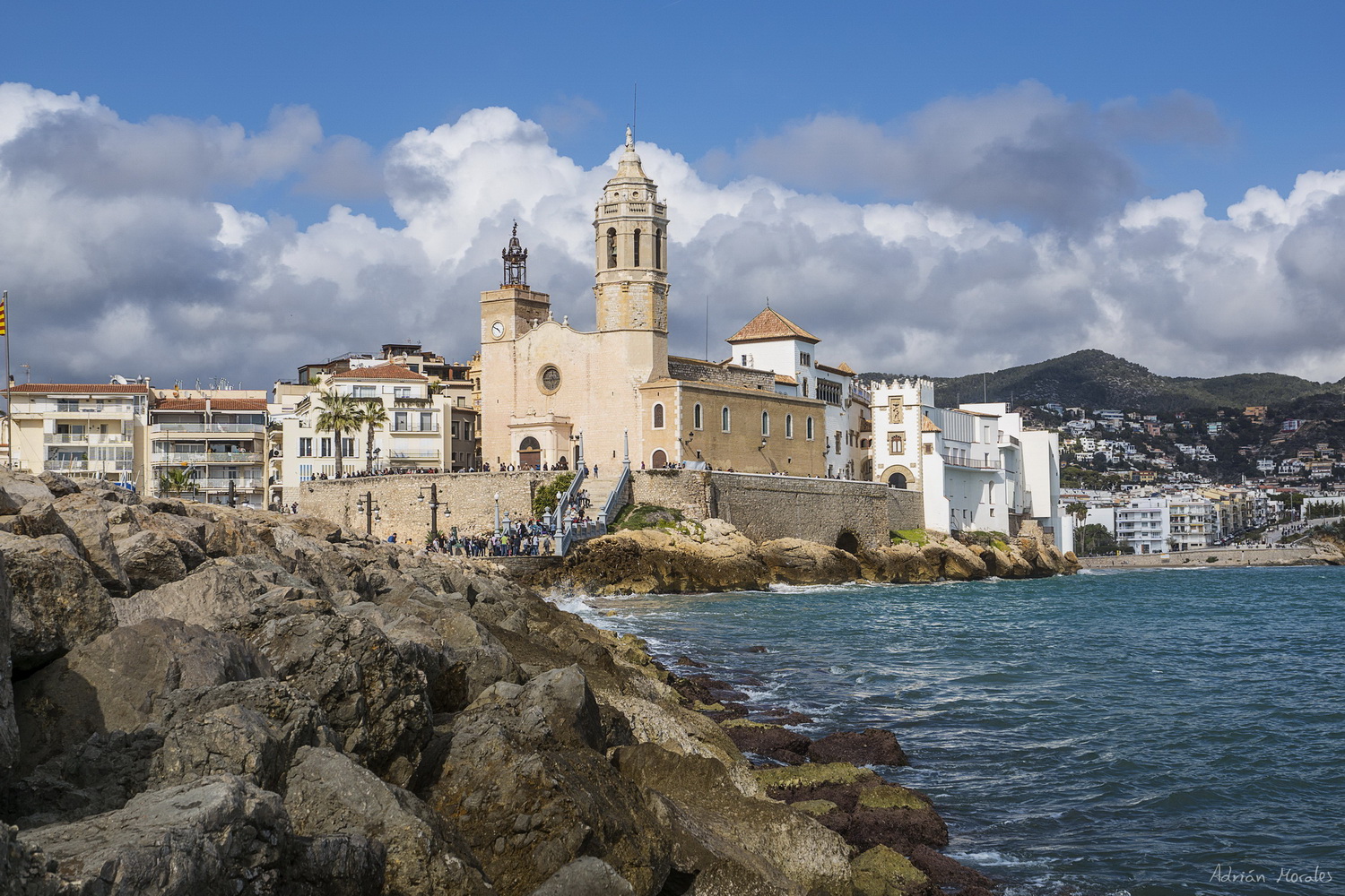 DSC09003b2_resize_resize_resize