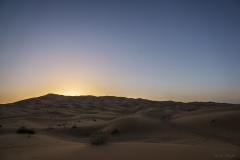 Adrián Morales Adrián Morales