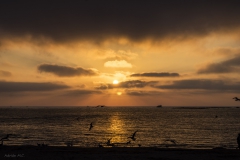 Adrián Morales Adrián Morales