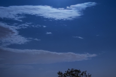 Adrián Morales Adrián Morales