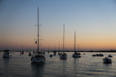 Adrián Morales Adrián Morales