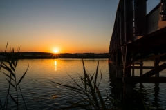 Adrián Morales Adrián Morales