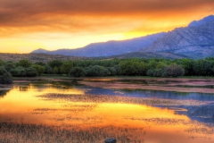 Adrián Morales Adrián Morales