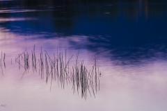 Adrián Morales Adrián Morales