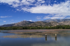 Adrián Morales Adrián Morales