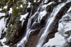 Adrián Morales Adrián Morales