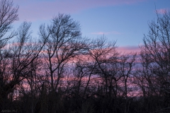 Adrián Morales Adrián Morales