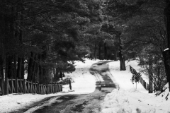 Adrián Morales Adrián Morales