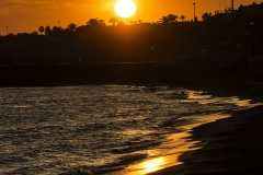 Adrián Morales Adrián Morales