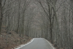 Adrián Morales Adrián Morales