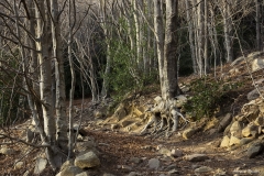 Adrián Morales Adrián Morales