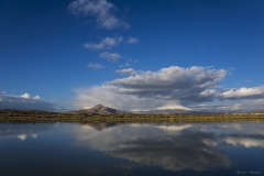 DSC09504b2_resize DSC09504b2_resize