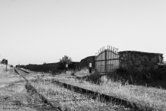 Adrián Morales Adrián Morales