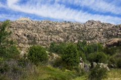 Adrián Morales Adrián Morales