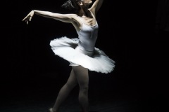 DSC05933b2_resize DSC05933b2_resize