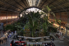 DSC06389_90_91_tonemappedc2_resize